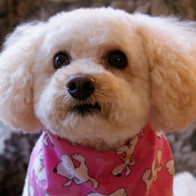 Lucy_Fiona_Love's profile picture. 