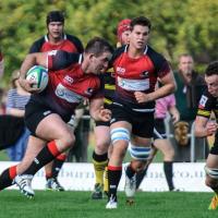 Brendan Cullinane RD (@cullinane2003) 's Twitter Profile