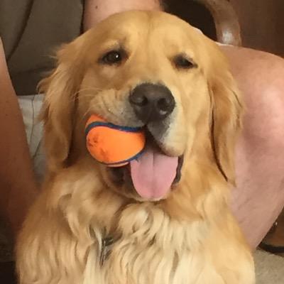 briansers's profile picture. Chemistry professor, homebrewer, husband, father and volleyball player.