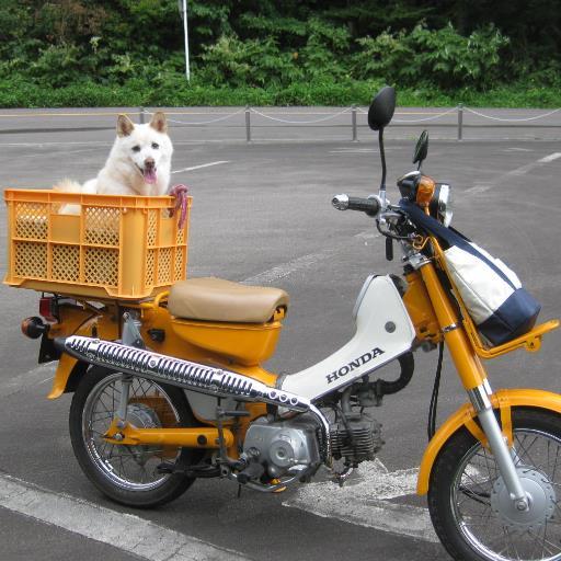 じいじです,
70.80年代のバイクが大好き、ミニトレ、モトコンポ、タイカブ100、リード90、トーハツPKD58、PS250、AS1、ラビット、XRM110、CL90