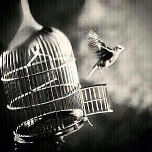 Mm_14201's profile picture. فتاة اخالط الجميع ولكن اعشق الهدوء،امتلك من العصبيه أكره النفاق واعشق الصراحه اجيد الكتمان وهذا م يؤلمني قد اسامح بسهوله ولاكن انسى