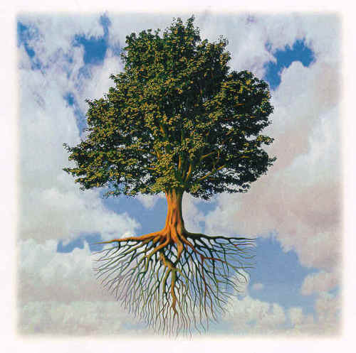 N_Fan's profile picture. Nature, Health, Truth