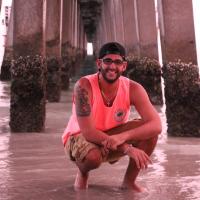 Christopher Silva (@chrisilva02) 's Twitter Profile