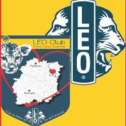 Le LEO Club rassemble les jeunes du Lions Club, ONG mondiale.