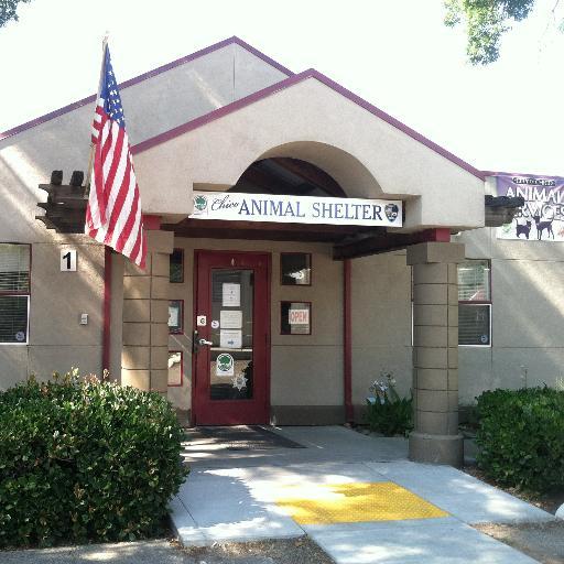 The Chico Animal Shelter services the City of Chico, takes in stray & surrendered dogs as well as sick, injured or orphaned kittens. For more info: 530-894-5630