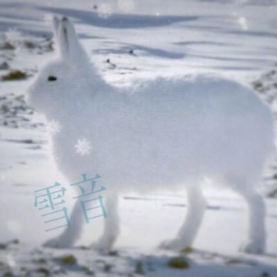 雪音**✲・✼✽さんのプロフィール画像