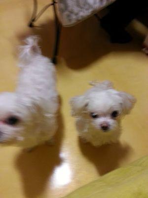 hsm7994's profile picture. 미스터 갈비홍