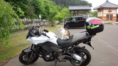 ｱﾗﾌｫｰｱﾆｵﾀバイク乗り→スーパーカブC125/元Versys1000乗り/古典部飛騨高山/米澤穂信作品/PAWORKS南砺市/そらﾒｿ洞爺湖壮瞥/温泉むすめ展開地巡り完了/天体観望/STGﾚﾄﾛｹﾞｰﾑ/ｲﾗｽﾄ練習中/FRBご自由に。BSとMisskey→koC125　台湾独立加油