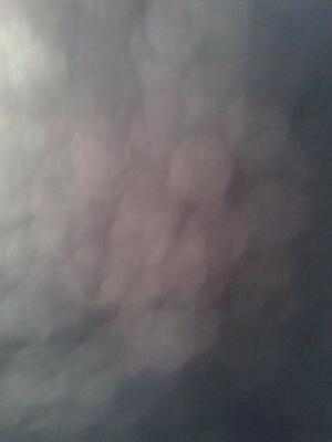 caner_ilk's profile picture. 