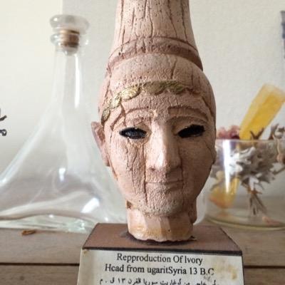 palmyramoon's profile picture. 映像制作者