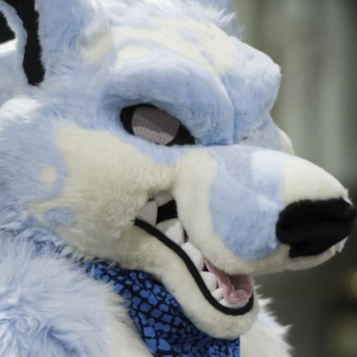 Bark of Sharksさんのプロフィール画像