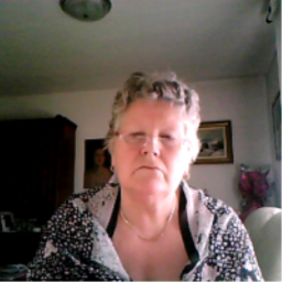 meghib1's profile picture. 