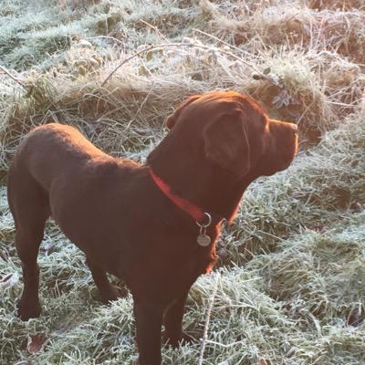 AnnaG360's profile picture. 