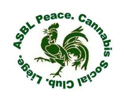 GalixCsclPeace's profile picture. 