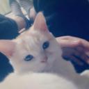 。 (@00010102) Twitter