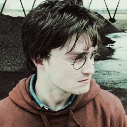 Harry Potter  ϟ Gryffondor ϟ 17 ans