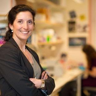 PhD in genetics-Multiple Sclerosis.Researcher on brain diseases- Huntington's Disease @Karolinskainst