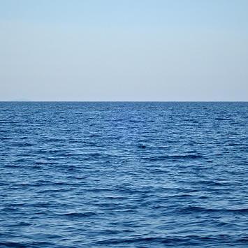 ksngho's profile picture. 자유민주주의