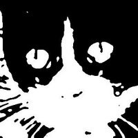 Doctoe (@doctoe) 's Twitter Profile