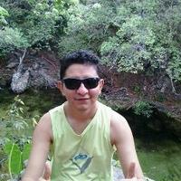Fernando Ribeiro (@fernando_pgtu) 's Twitter Profile