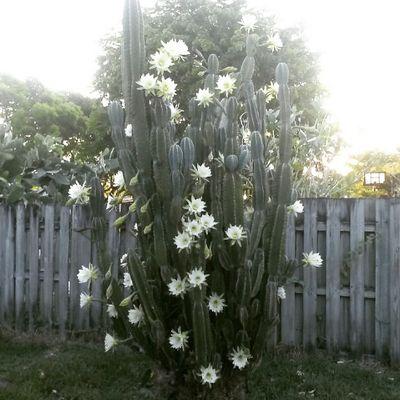 tamaram1020's profile picture. 