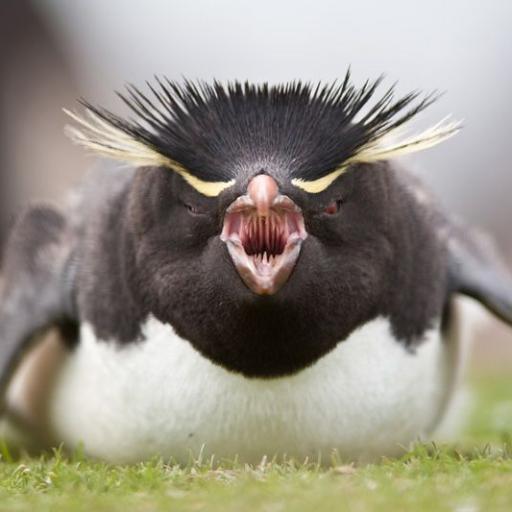 зачем рожать если нет денег на содержание ребенка. TBynPI01. зачем рожать если нет денег на содержание ребенка фото. зачем рожать если нет денег на содержание ребенка-TBynPI01. картинка зачем рожать если нет денег на содержание ребенка. картинка TBynPI01. зачем рожать если нет денег на содержание ребенка. TBynPI01. зачем рожать если нет денег на содержание ребенка фото. зачем рожать если нет денег на содержание ребенка-TBynPI01. картинка зачем рожать если нет денег на содержание ребенка. картинка TBynPI01.