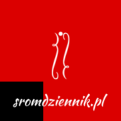 SROMDziennik's profile picture.