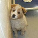 Lori Conner - @LouBethConner - Twitter