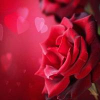 almaqbali (@ahmed99059) 's Twitter Profile