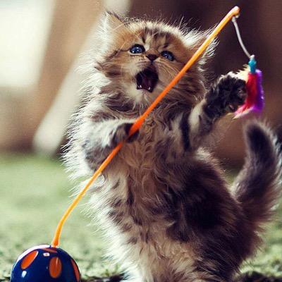 Nadiel38998905's profile picture. 