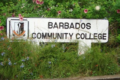 BCC Social Work Profile