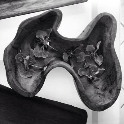 CarloMixtli's profile picture. artista plástico, hotelero, visionario, vivo