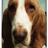 juliejadore1's profile image