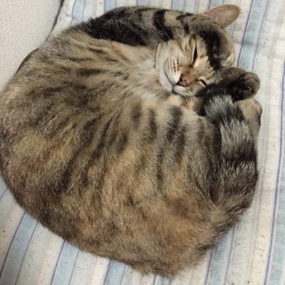 monosoucat's profile picture. 濁川中→医福大