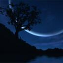 Brandy Wright - @Brandwright123 - Twitter