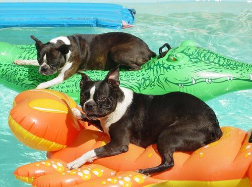 LeahBetta's profile picture. raised in Akron, OH