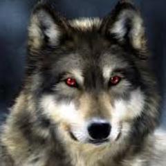 ma_manukyan's profile picture. 