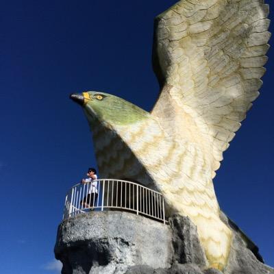 0513_yoshi's profile picture.