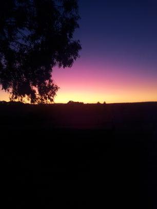 52f44faf95d5455's profile picture. 