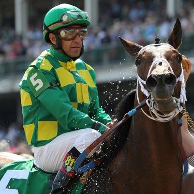 Horseracing576's profile picture. 7 Year Old Race Horse Owned By Donegal Racing & Rockingham Ranch Trained by Peter Miller And Ridden By The Great Victor Espinoza I am A Multiple Grade 1 Winner