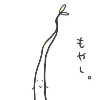 もやしx Mamemoyashix Twitter