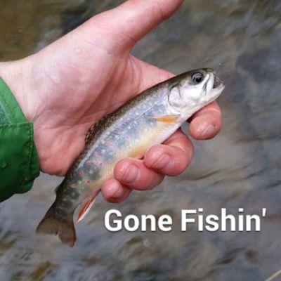 Just a couple of guys with a passion for all kinds of fishing. Tweet @ us with your catches!