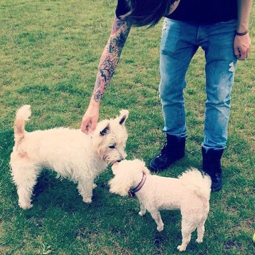 Mikey_Lloyd's profile picture. National radio plugger at Plugged In PR. MUFC season ticket holder, ATL Rise Up…and best friend to a Toy Poodle. Mikey@pluggedinpr.co.uk