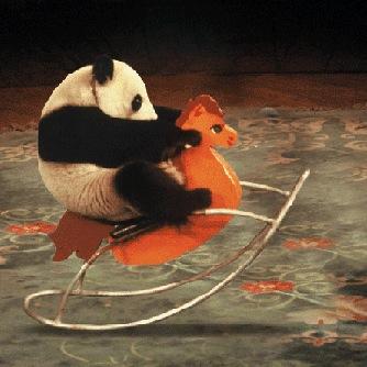 PandaPannie's profile picture. Your daily dose of panda!