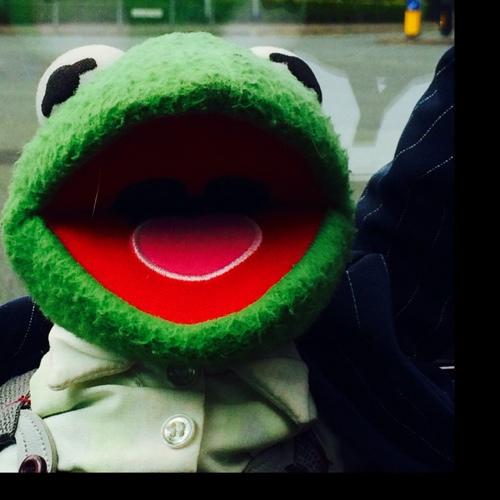 mrscca_mmhs's profile picture. scientist, whovian, MCFC fanatic, competitive, hard working, reader, writer and thinker.  Live life like there will be no tomorrow and follow the one true code!