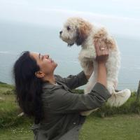 drashtti vasant (@drashtti) 's Twitter Profile Photo drashtti vasant (@drashtti) 's Twitter Profile Photo