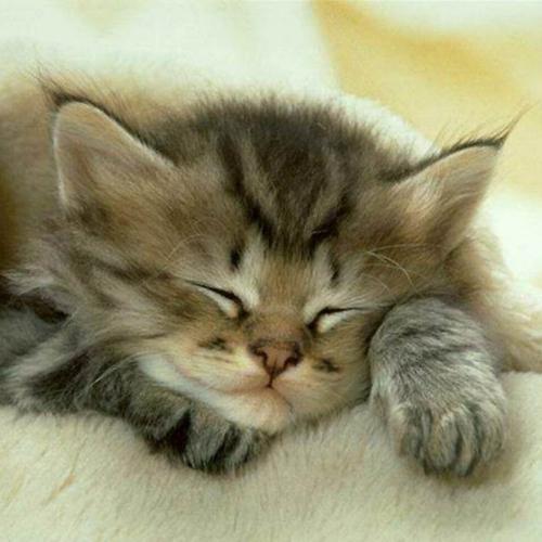 ClaireChabal's profile picture. 