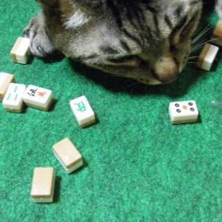 SVl4LspVgzxs0LT's profile picture. 最近吐きだめとして使ってます😇