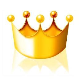 ペット用品最新人気ランキング Petrankingfan Twitter