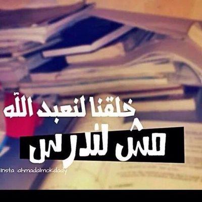 hzjxjxjbx's profile picture. اختبارات